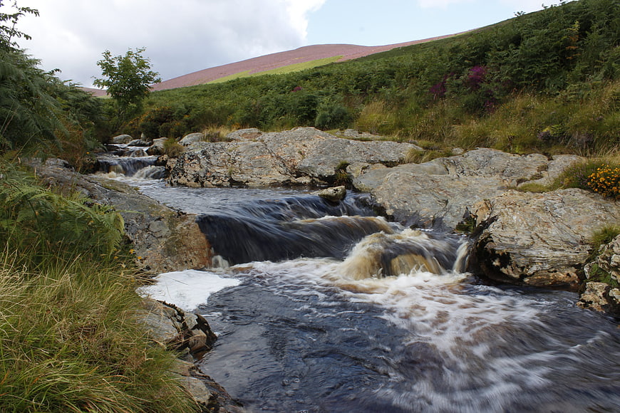 Flowing Mountain Stream Over Rocks in Green Valley
