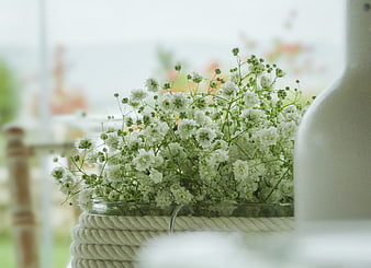 White Baby's Breath Flowers in Glass Vase on Rope Wrapped Base