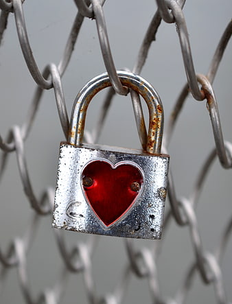Rusty Heart Padlock on Chain Link Fence