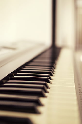 Close-up of piano keys with shallow depth of field