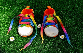 Rainbow Baby Shoes on Green Grass with Daisies