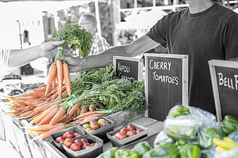 Fresh Organic Vegetables At Farmers Market Stall