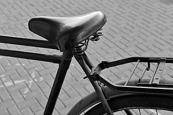 Vintage Bicycle Seat and Rear Rack on Paved Street
