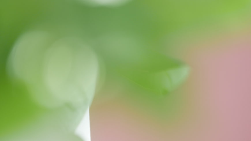 Abstract Green and Pink Bokeh Background