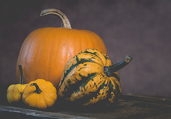 Autumn Harvest Pumpkins and Gourds on Wooden Table