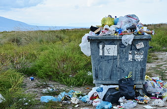 Overflowing dumpster with plastic waste in coastal dunes