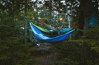 Colorful Hammocks Hanging in a Dense Forest Campsite
