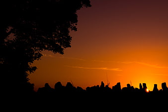 Silhouette of trees and rocks against vibrant orange sunset sky