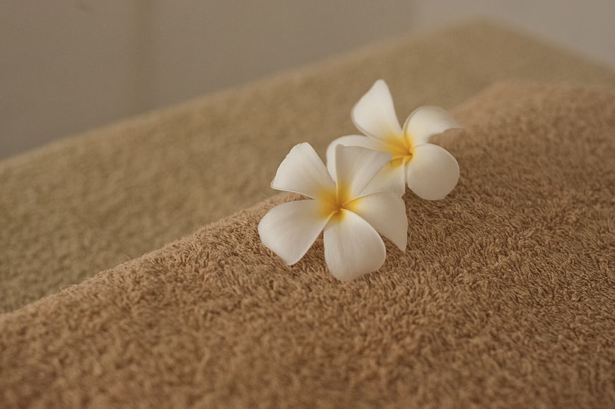 White plumeria flowers on folded brown spa towel
