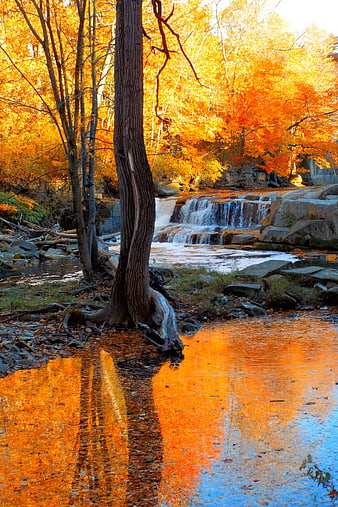 Autumn Waterfall Reflections in Golden Forest Stream