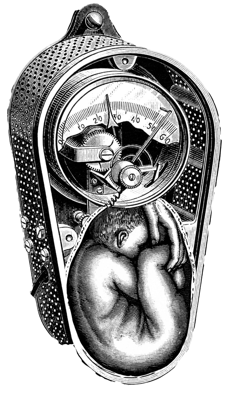 Vintage engraving of mechanical clockwork uterus with fetus
