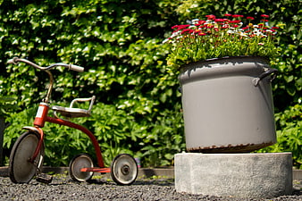 Vintage Red Tricycle and Flower Pot in Garden