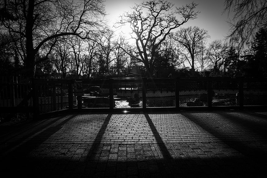 Dramatic Black and White Shadows on Cobblestone Path