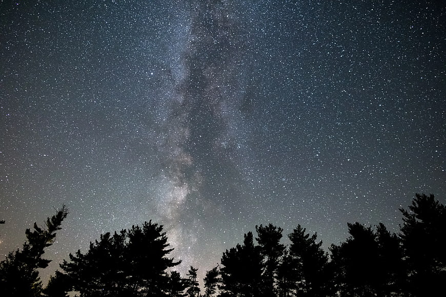 Milky Way Galaxy Over Silhouetted Pine Trees at Night