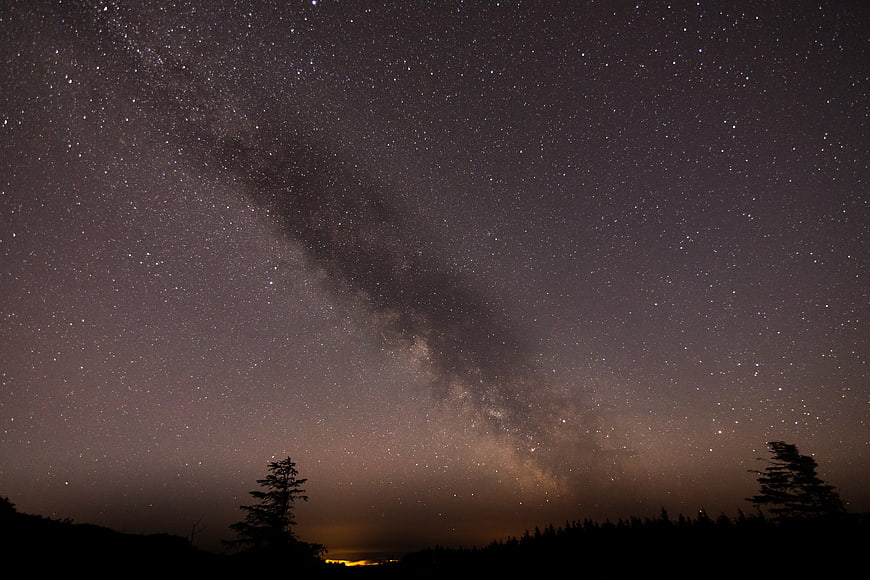 Milky Way Galaxy Over Silhouetted Forest at Night
