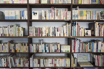 Colorful Japanese Books on Wooden Library Shelves