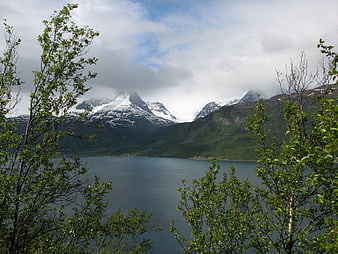 Scenic Norwegian Fjord with Snow-Capped Mountains and Green Trees