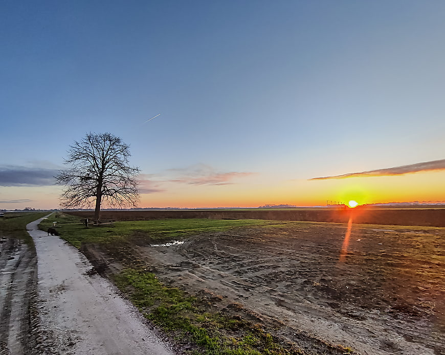 Sunset over rural landscape with dirt path and lone tree