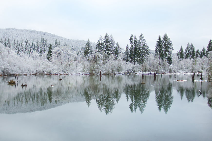 Serene Winter Lake with Snowy Forest Reflections