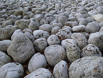 Close-up of white limestone rocks on a natural ground