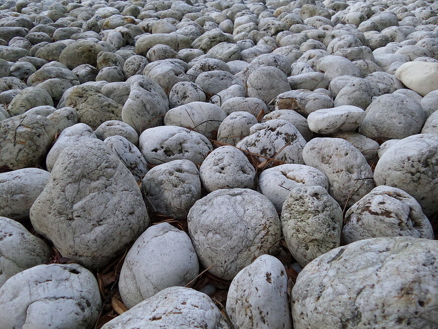 Close-up of white limestone rocks on a natural ground