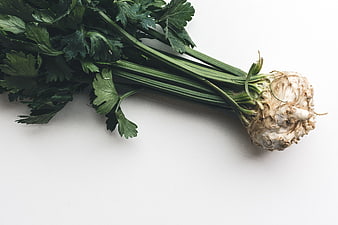 Fresh Celery Root with Leaves on White Background