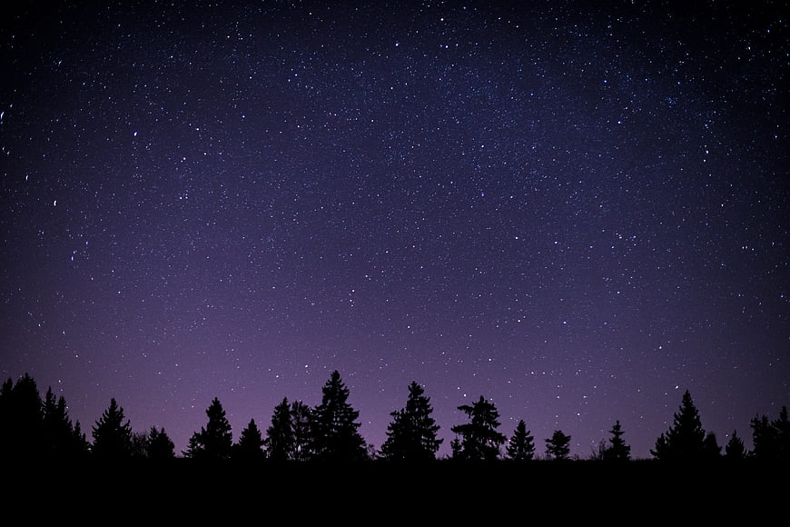 Starry Night Sky Over Silhouetted Pine Forest