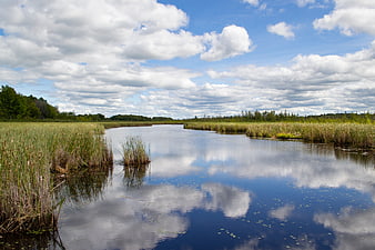 Serene wetland landscape with river reflecting blue sky and clouds