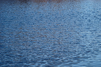 Blue Water Surface Texture with Gentle Ripples