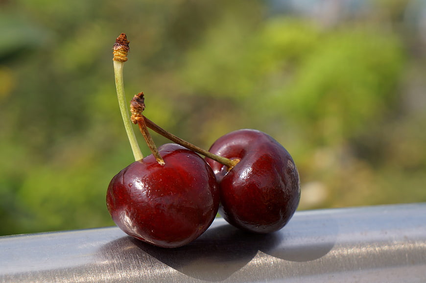 Two Fresh Red Cherries on Metal Surface