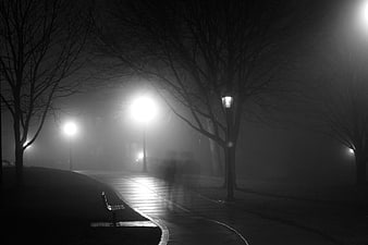 Foggy Park Path at Night with Street Lamps and Bench