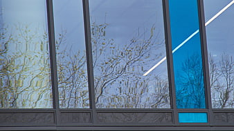 Modern glass building facade with tree reflections