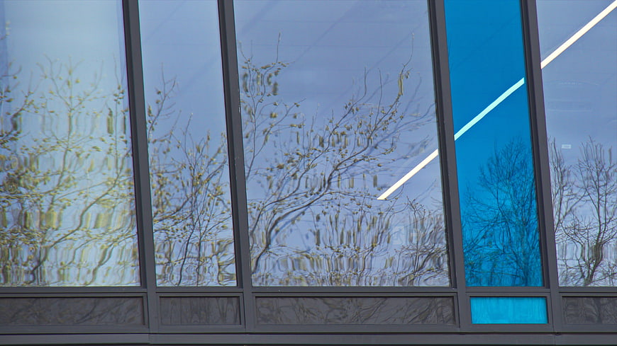 Modern glass building facade with tree reflections