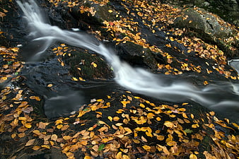 Autumn stream with long exposure water flow over black rocks