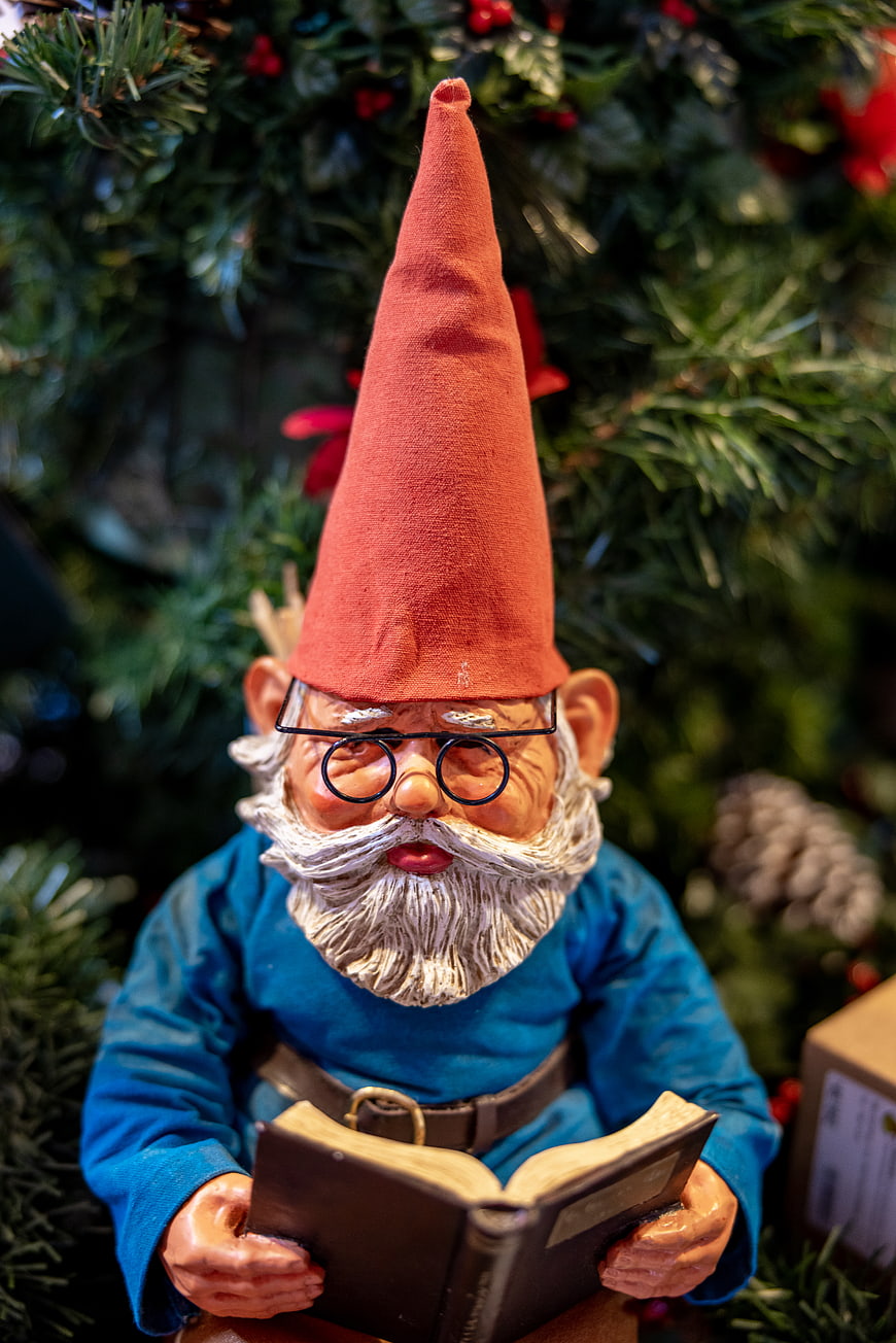 Festive Christmas Gnome Reading Book Under Tree