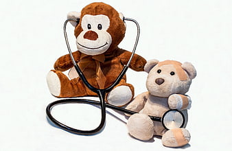 Stuffed Monkey Doctor and Injured Teddy Bear with Stethoscope