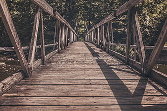 Rustic wooden bridge in forest with leading lines