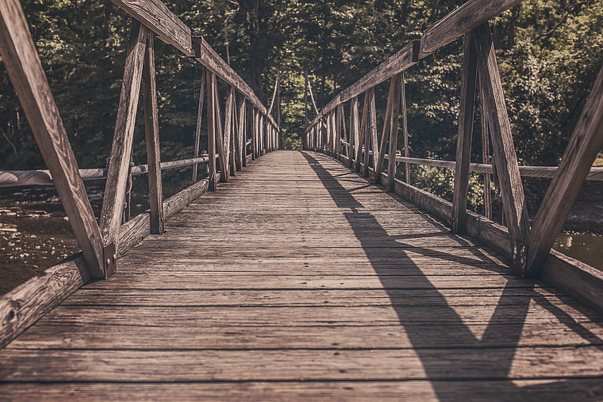 Rustic wooden bridge in forest with leading lines