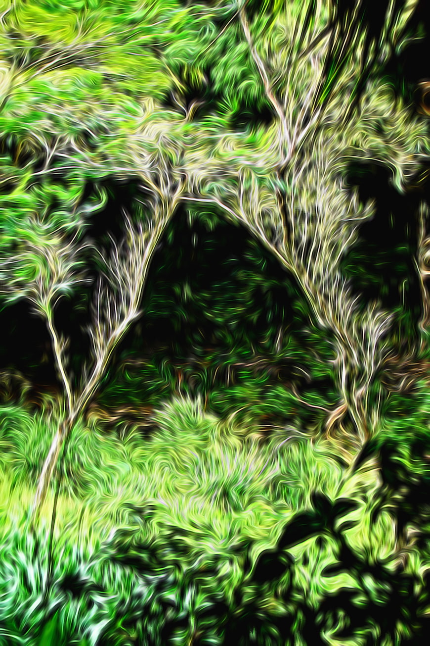 Abstract Green Forest Gate Oil Painting Style