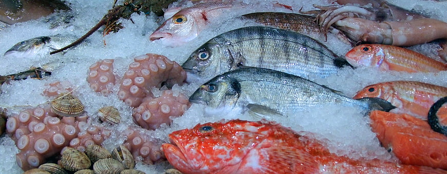Fresh Seafood Display on Ice at Market