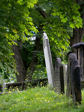 Old weathered gravestones in a green cemetery with yellow flowers