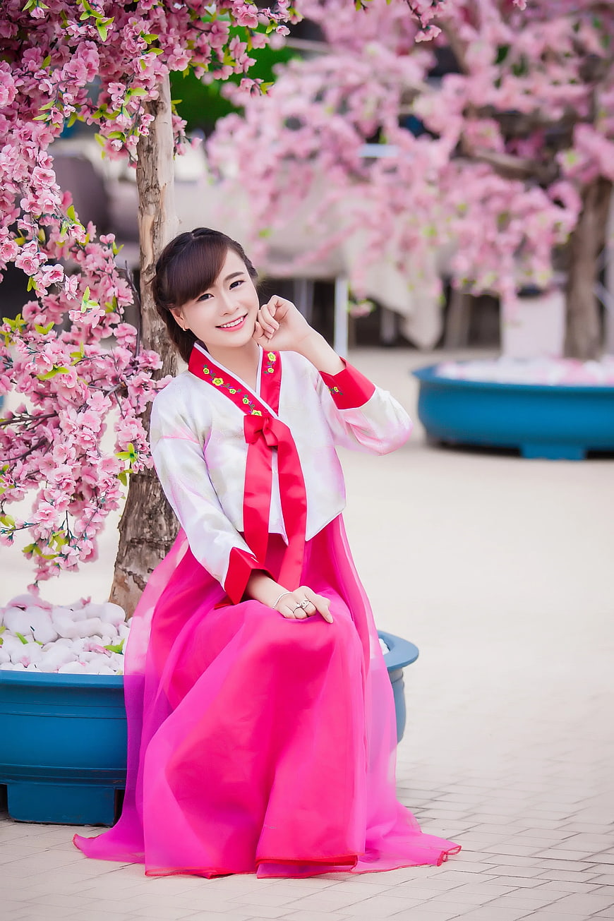Woman in Pink Hanbok Sitting Under Cherry Blossoms
