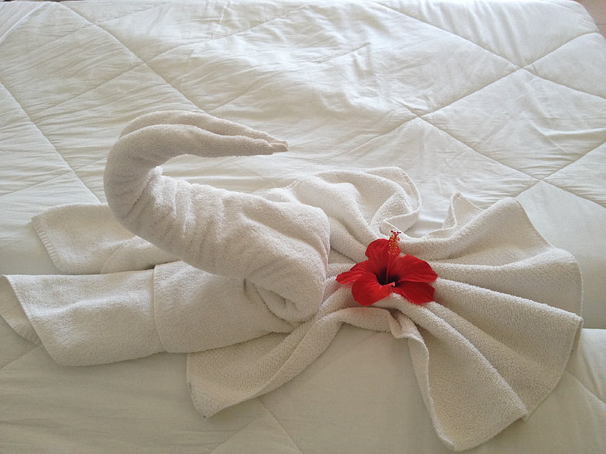 White towel swan with red hibiscus flower on hotel bed