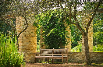 Empty Wooden Bench Under Stone Pergola in Garden