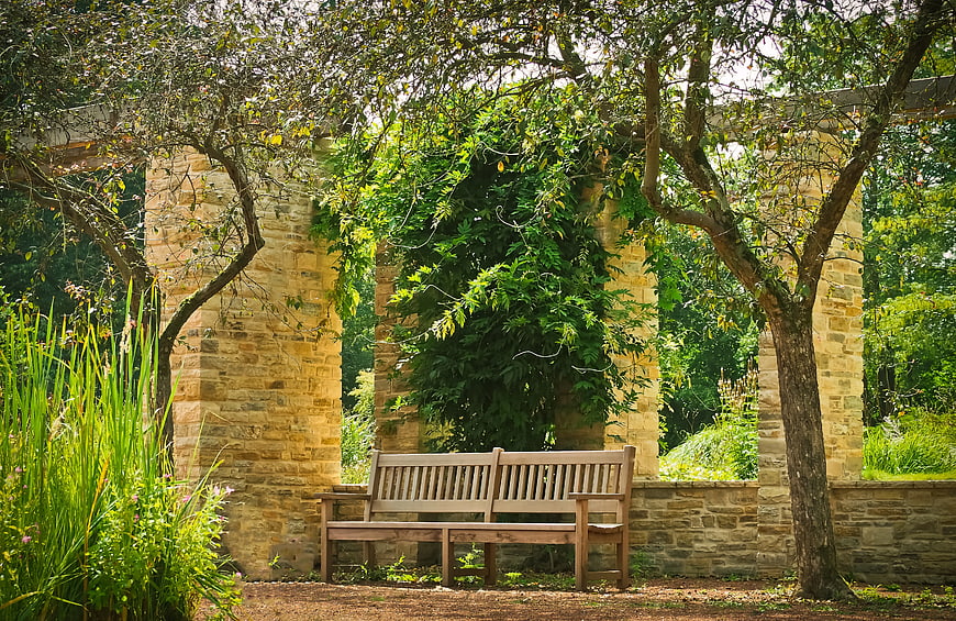 Empty Wooden Bench Under Stone Pergola in Garden