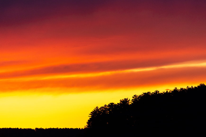 Vibrant orange and purple sunset sky with tree silhouette
