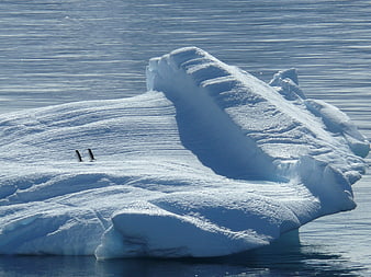 Antarctic Iceberg with Two Penguins in Southern Ocean