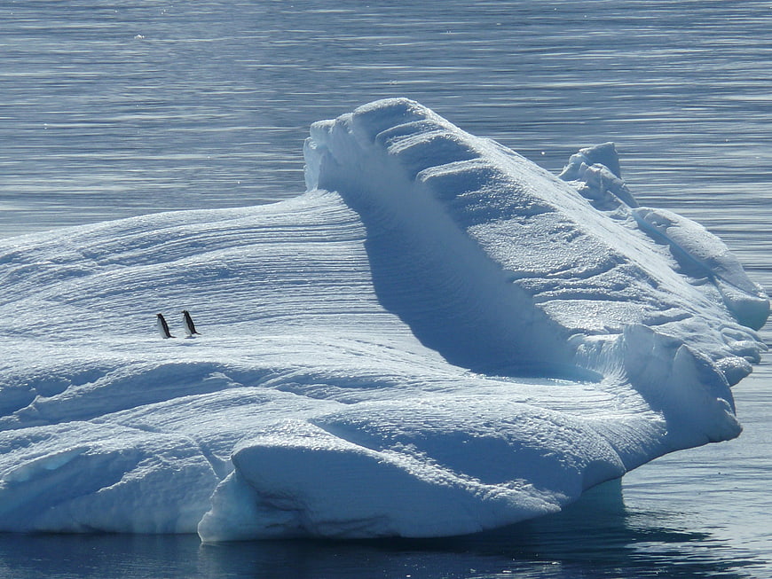 Antarctic Iceberg with Two Penguins in Southern Ocean