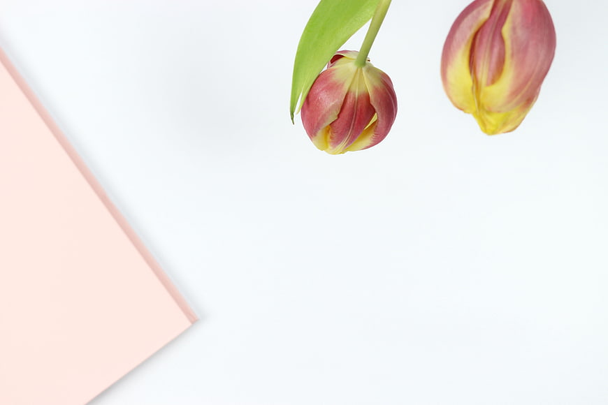 Pink and Yellow Tulips with Pink Notebook on White Background