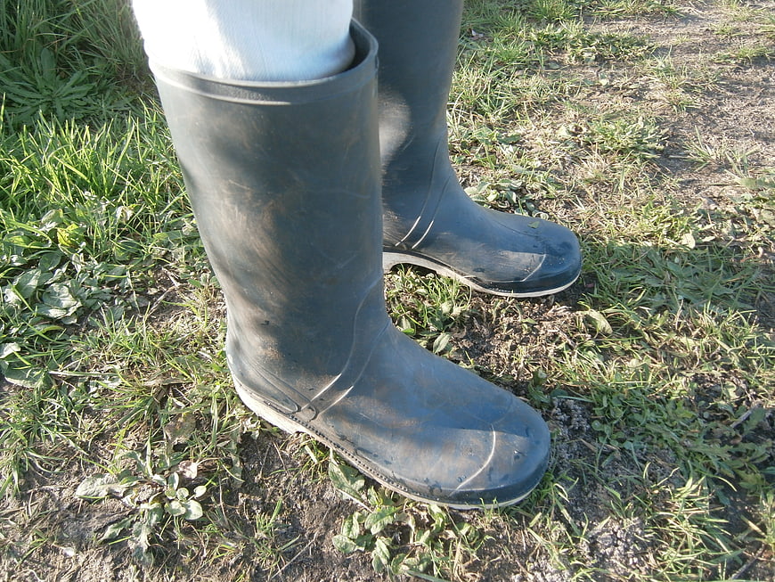 Close-up of muddy black rubber boots on grass